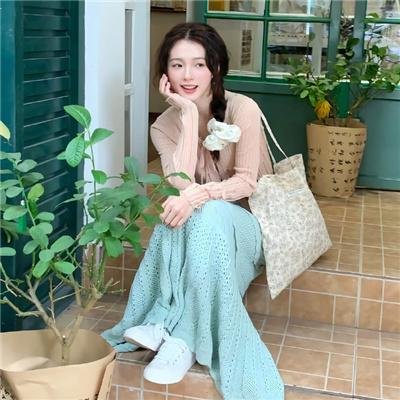 科搜研之女第24季